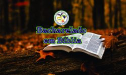 Bacharel em biblia Brasil.usa 2019